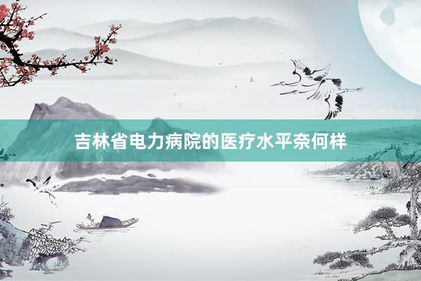 吉林省电力病院的医疗水平奈何样
